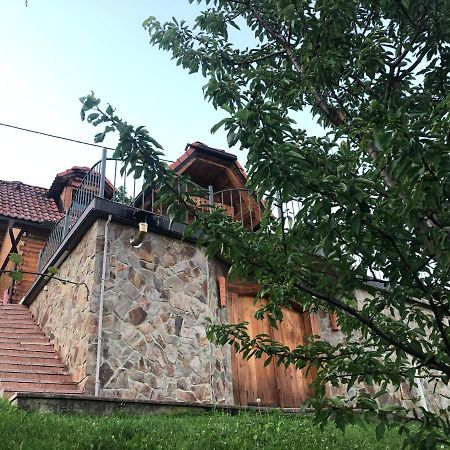 Vineyard Cottage Janko & Metka 奥托塞克 外观 照片
