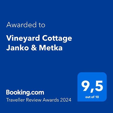 Vineyard Cottage Janko & Metka 奥托塞克 外观 照片